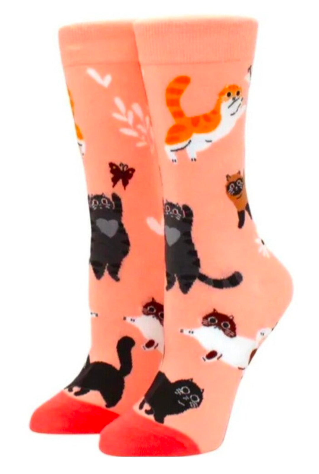 Sokken katten