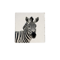 Zebra - natural stone tile