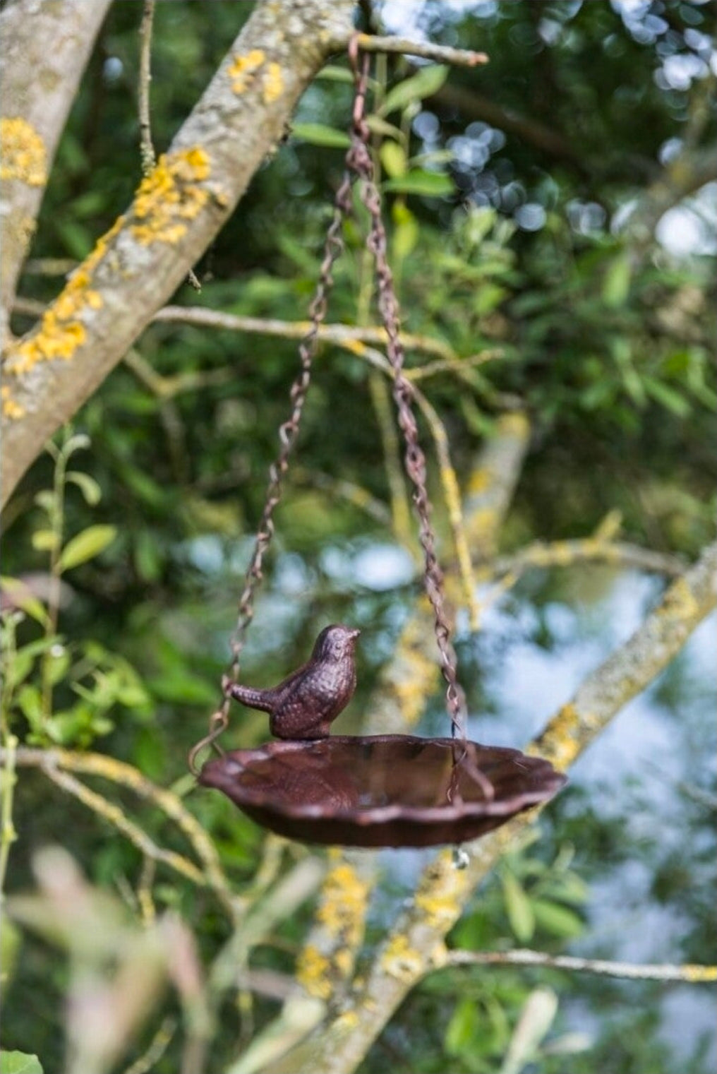 Gietijzeren vogel drinkbakje
