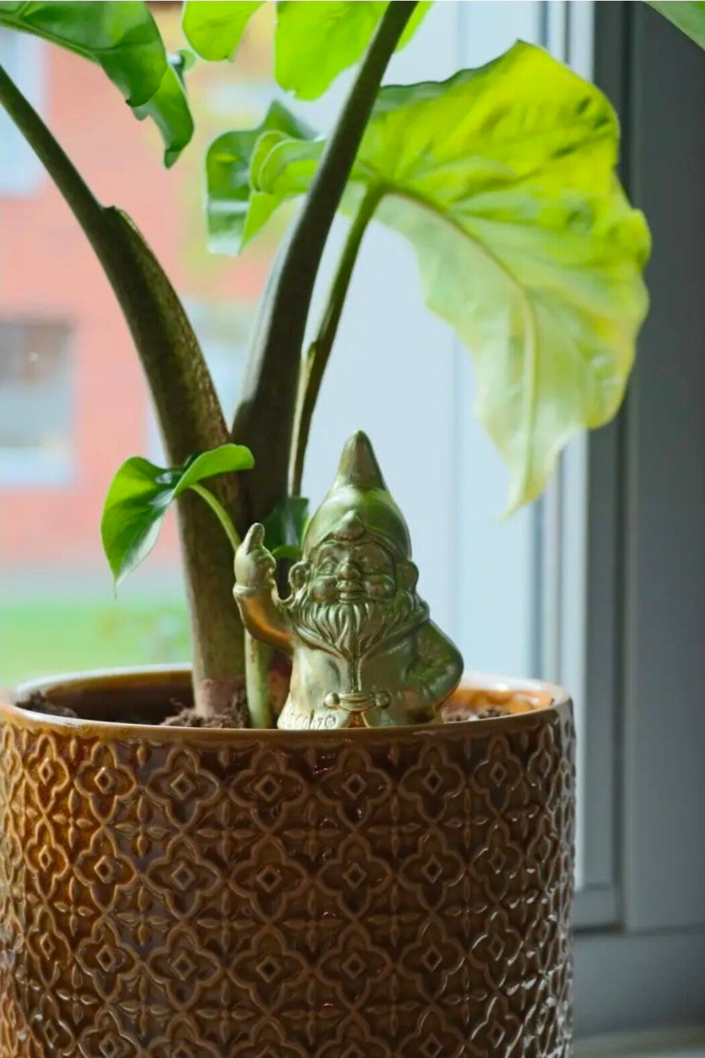 Gnomy self-watering fuck you kabouter