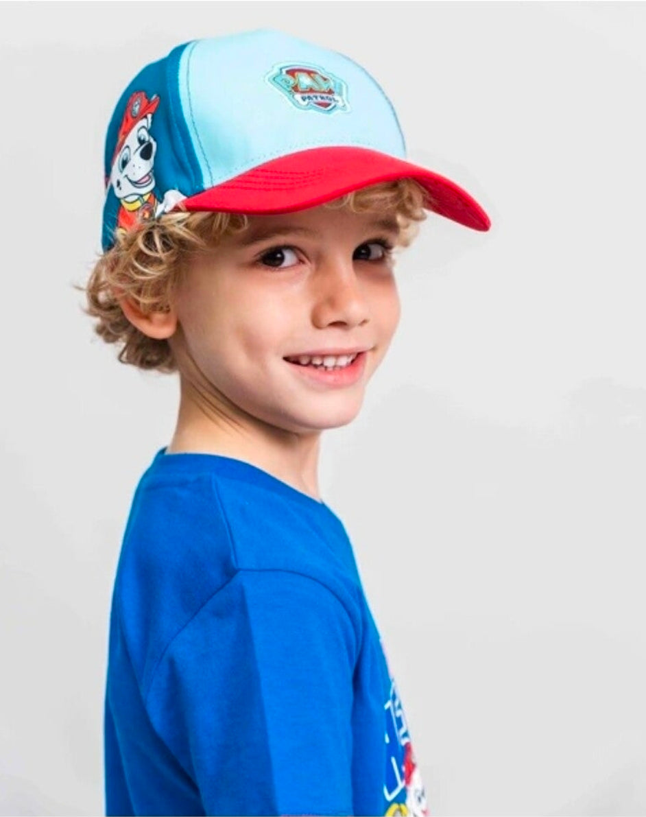 Paw Patrol - pet baseball